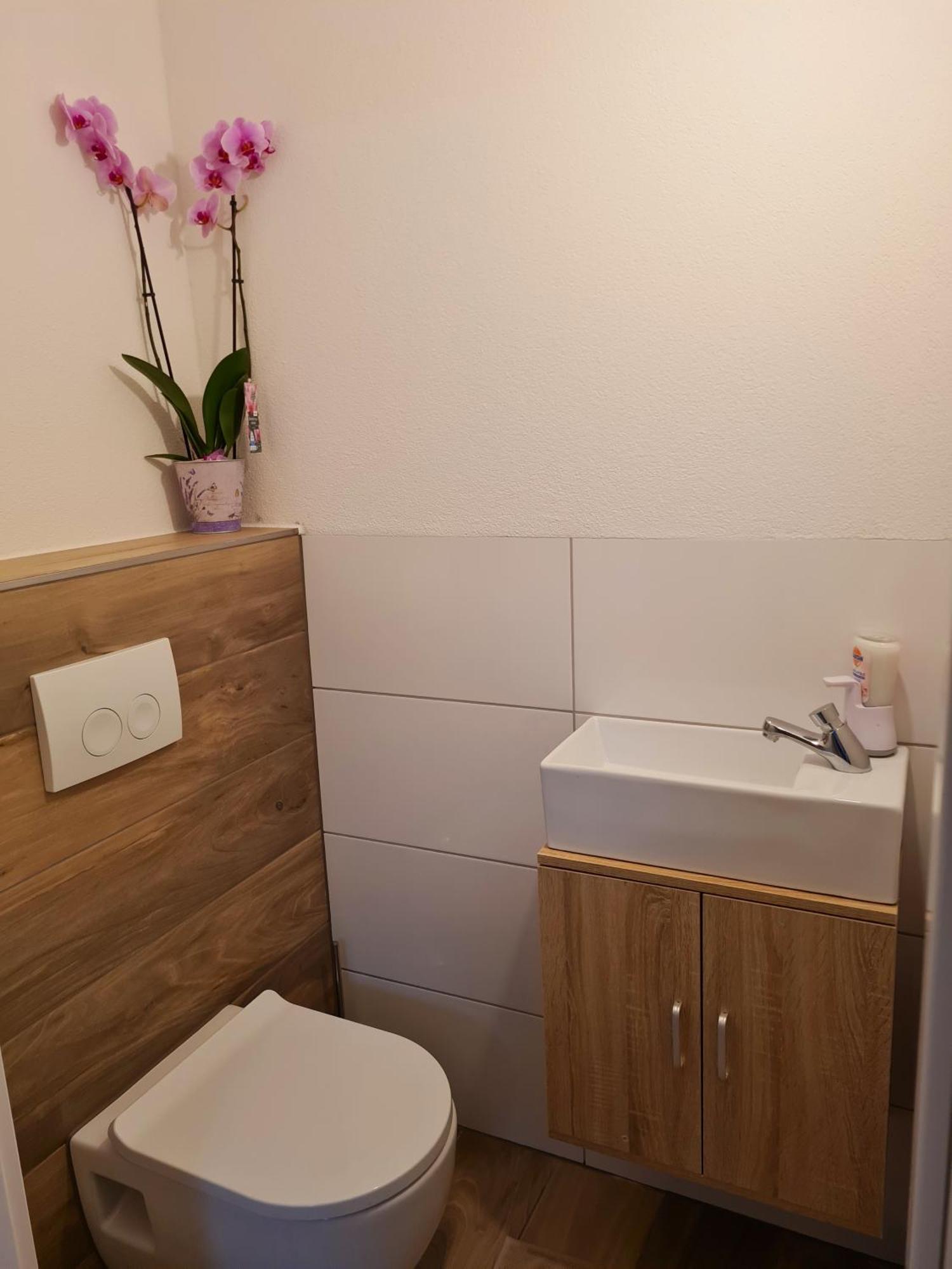Apartment Adria